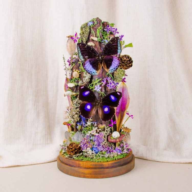 Motýlí terárium č.6 - střední