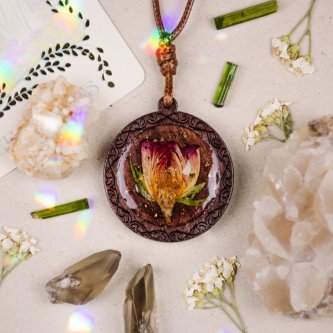 Plánované naskladnění: