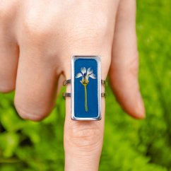 Adjustable Ring with Isotoma