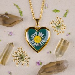 Srdíčkový medailonek se sedmikráskou