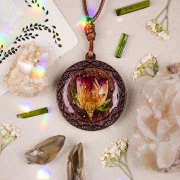 Plánované naskladnění: