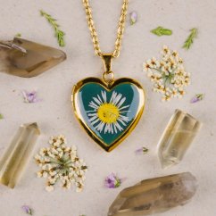 Srdíčkový medailonek se sedmikráskou