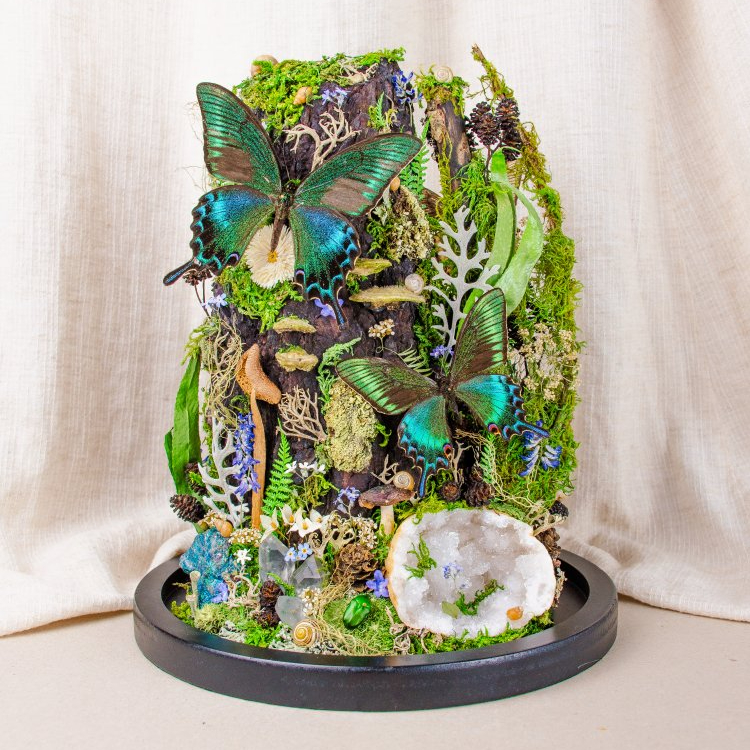 Motýlí terárium č.7 - velké