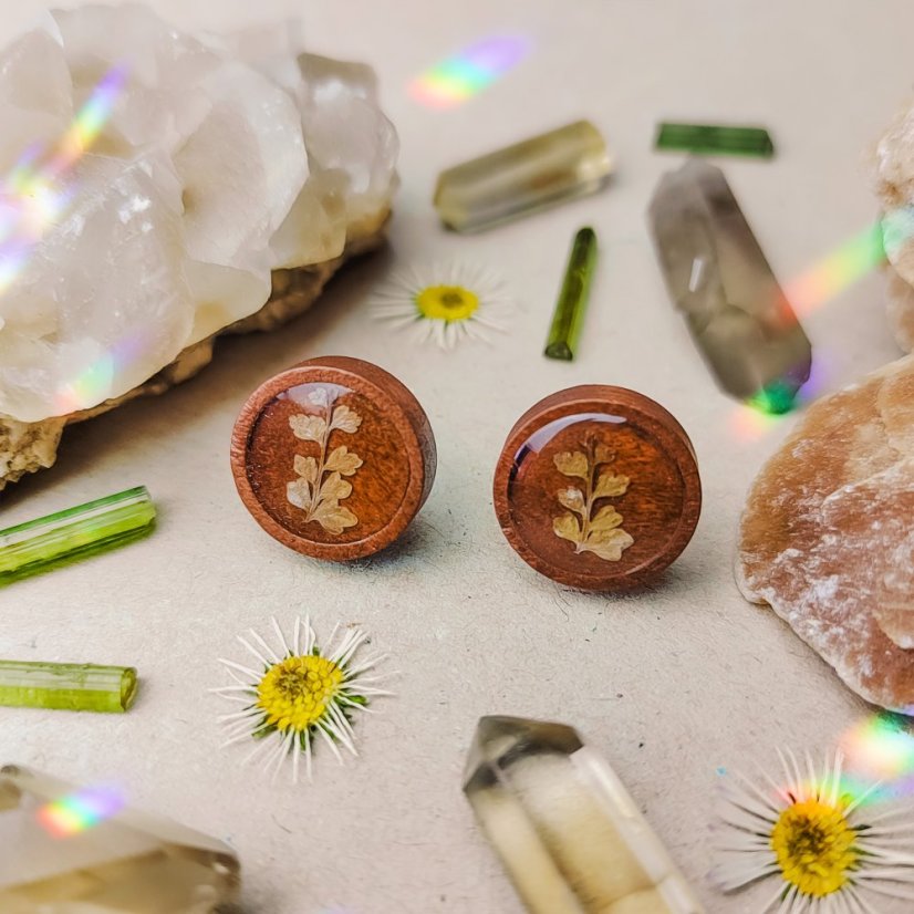 Dřevěné náušnice s kapradím