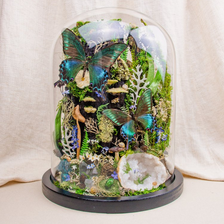 Motýlí terárium č.7 - velké