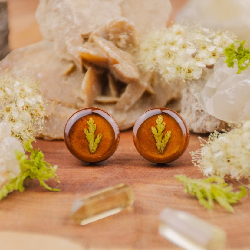 Dřevěné náušnice s jehličím