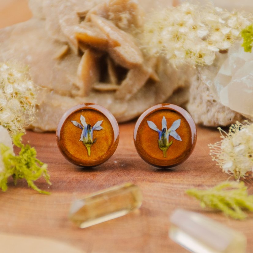 Dřevěné náušnice s izotomou