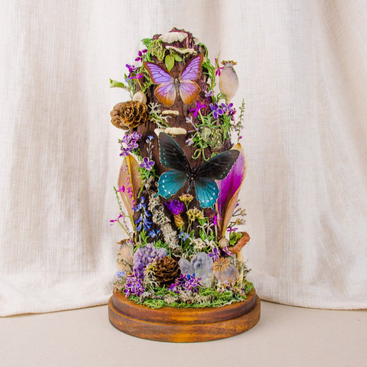 Motýlí terárium č.6 - střední