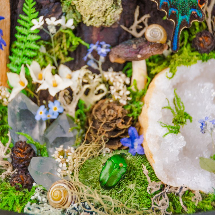 Motýlí terárium č.7 - velké