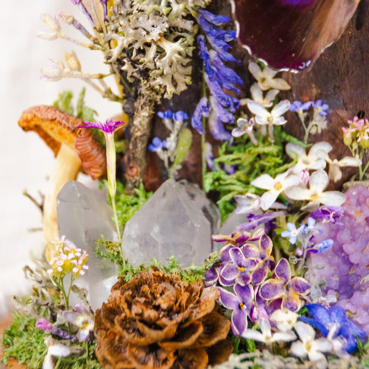 Motýlí terárium č.6 - střední